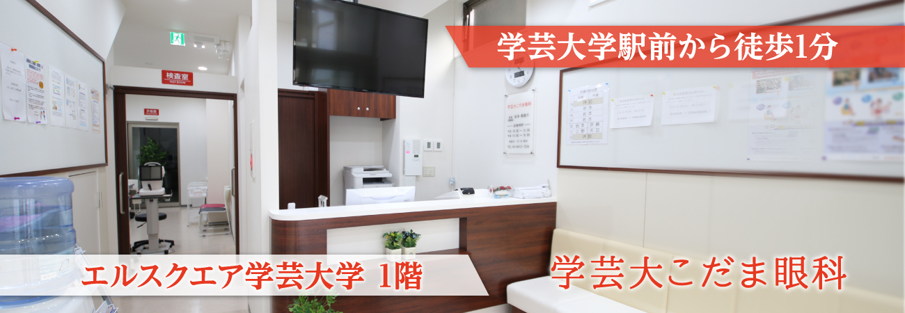 学芸大学駅前から徒歩1分、エルスクエア学芸大学1階